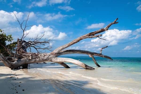 Andaman Group Tour Package | Andaman
