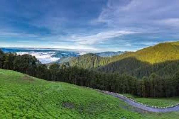 Shimla Kasol Jibhi Tour Package