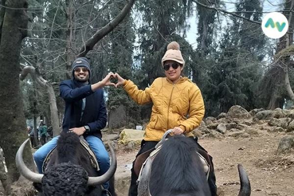 Shimla, Manali, Dharamshala, Dalhousie Honeymoon Package