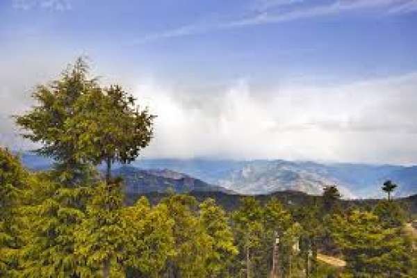 Shimla Group Tour Package